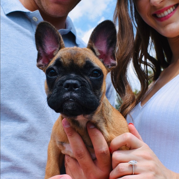 Meet your Posher - Picture 5 of 5